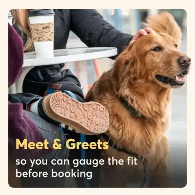 Rover.com ad: Rover: Dog Boarding Made Easy