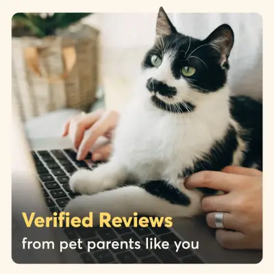 Rover.com ad: Browse Trusted Cat Sitters Near You