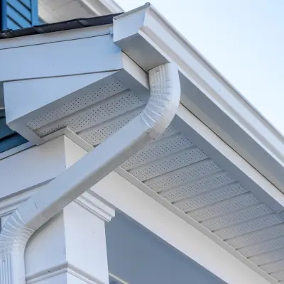 Leaf Home Pro ad: LeafFilter® Gutter Protection