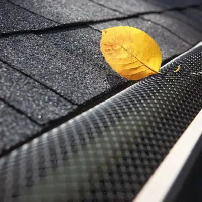 Leaf Home Pro ad: LeafFilter® Gutter Guards