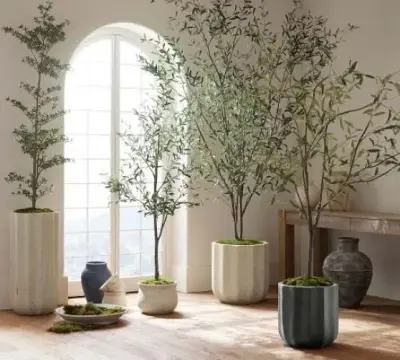Pottery Barn ad: Faux Plants & Trees