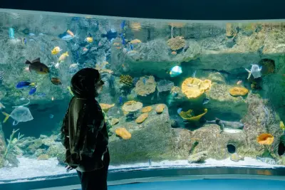 Fish Tanks Direct ad: Freshwater & Saltwater Aquariums | Fish Tanks