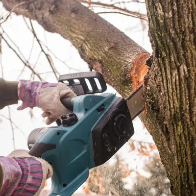 Angi ad: Find Local Tree Service Pros