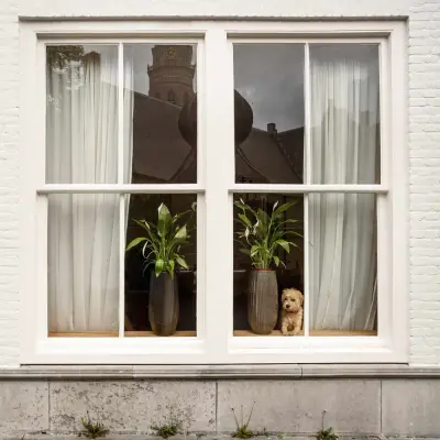 Angi ad: Find Local Window Contractors