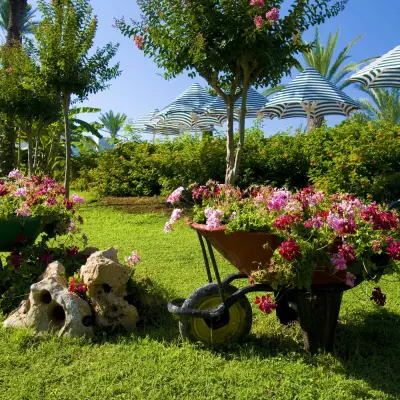 Angi ad: Landscape Design Pros