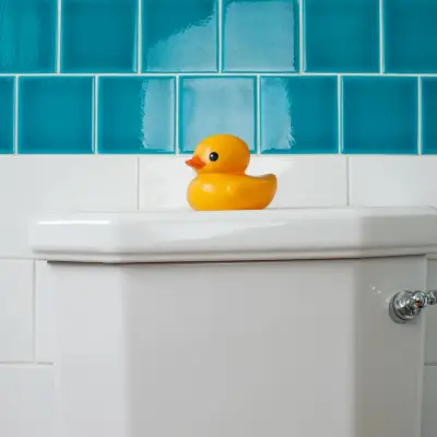 Angi ad: Local Toilet Repair