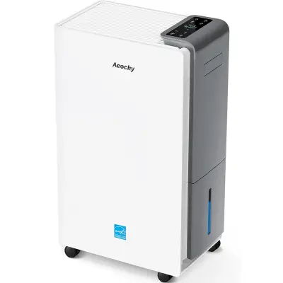 Consumer Picks ad: Top 10 Dehumidifiers 2026